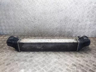 2115003902 Интеркулер Mercedes E W211 Арт e12496073, вид 1