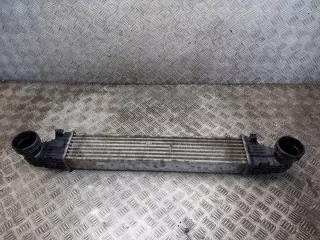 2115003902 Интеркулер Mercedes E W211 Арт e12496073, вид 3