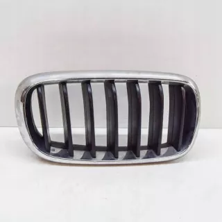7316076 Решетка радиатора BMW X5 F15 Арт e12480294, вид 1