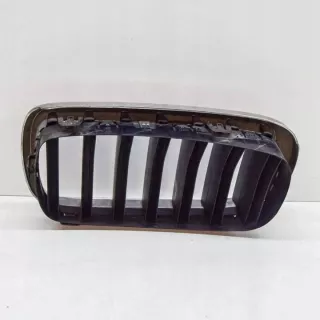7316076 Решетка радиатора BMW X5 F15 Арт e12480294, вид 2