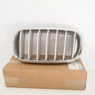51117303107 Решетка радиатора BMW X5 F15 Арт e12480293, вид 1