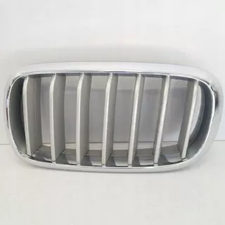 51117303107 Решетка радиатора BMW X5 F15 Арт e12480293, вид 2