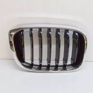 7464920 Решетка радиатора BMW X3 G01 Арт e12480224, вид 1