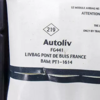 607632800G Подушка безопасности Renault Laguna 3 Арт e12472395, вид 4