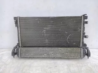 214810039R Вентилятор радиатора Renault Laguna 3 Арт e12471772, вид 1