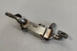 BH0038131513L Радиатор EGR Ford Galaxy 1 Арт e12448883