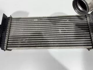 GRG08061322 Интеркулер Mercedes ML W164 Арт e12427589, вид 2