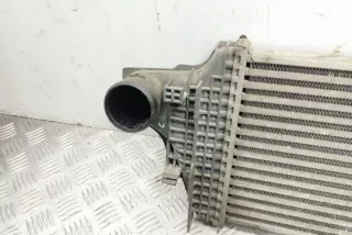 W164 A2515000000 Интеркулер Mercedes ML W164 Арт e12427588, вид 1