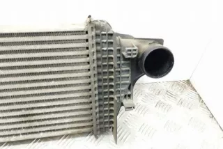 W164 A2515000000 Интеркулер Mercedes ML W164 Арт e12427588, вид 3