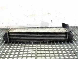 1612787 LORK-1821-15268 Интеркулер BMW 5 E39 Арт e12426821, вид 3
