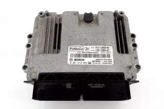 FN1512A650AB Блок управления двигателем Ford Fiesta 6 Арт e12420619, вид 4