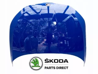 Капот Skoda Scala Арт e12419374, вид 1