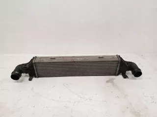 A2045000200 Интеркулер Mercedes E C207 Арт e12408110, вид 1