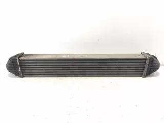 A1695000900 Интеркулер Mercedes B W245 Арт e12408069, вид 2