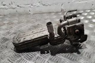 3210275 Радиатор EGR Volkswagen Golf 5 Арт e12407038, вид 2