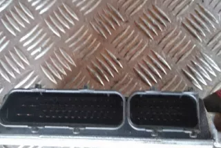 038906018N Блок управления двигателем Volkswagen Passat B5 Арт e12393317, вид 1