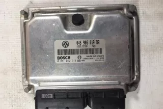 045906019BR Блок управления двигателем Seat Ibiza 3 Арт e12392405, вид 1