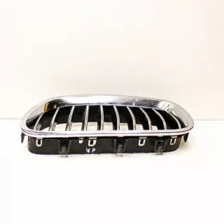 7412323 Решетка радиатора BMW 5 F10/F11/GT F07 Арт e12386924, вид 3