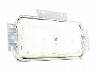 1668600302 Подушка безопасности Mercedes ML/GLE W166 Арт e12379995, вид 1