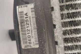8E0121251A Радиатор (основной) Audi A4 B7 Арт e12366013, вид 3