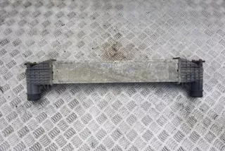 95VW9L440AA Интеркулер Ford Galaxy 3 Арт e12360903