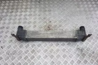 95VW9L440AA Интеркулер Ford Galaxy 3 Арт e12360903, вид 2