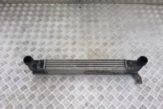 95VW9L440AA Интеркулер Ford Galaxy 3 Арт e12360902