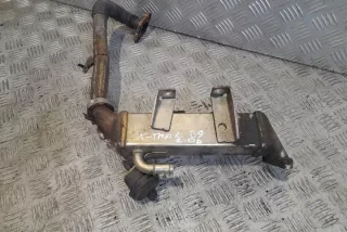 8200620695 Радиатор EGR Nissan Qashqai 2 Арт e12357775, вид 3