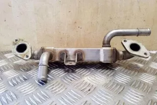 038131513L Радиатор EGR Ford Galaxy 3 Арт e12357330, вид 1