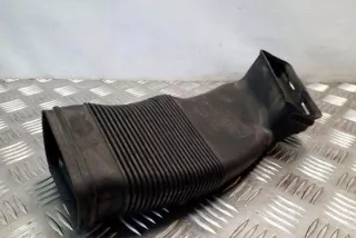 8D0129617E Гофра инжектора Audi A6 C5 (S6,RS6) Арт e12344934, вид 1