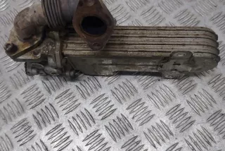 038131513D Клапан EGR Volkswagen Golf 4 Арт e12328846, вид 5
