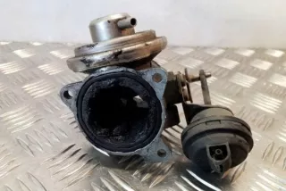 038129637B Клапан EGR Seat Toledo 4 Арт e12328491, вид 2