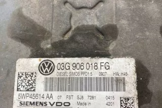 03G906018FG Блок управления двигателем Volkswagen Passat B6 Арт e12321698, вид 1