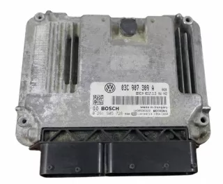03C907309A Блок управления двигателем Volkswagen Passat B6 Арт e12321675, вид 1