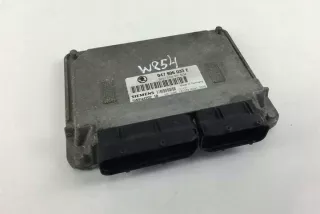 047906033E Блок управления двигателем Skoda Fabia 1 Арт e12320823, вид 1