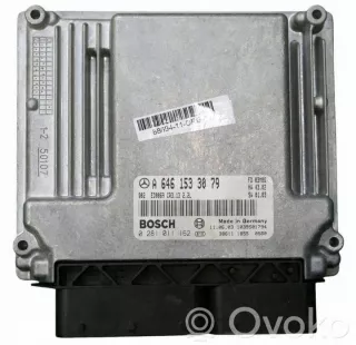 A6461533079 Блок управления двигателем Mercedes C W203 Арт e12318388, вид 1