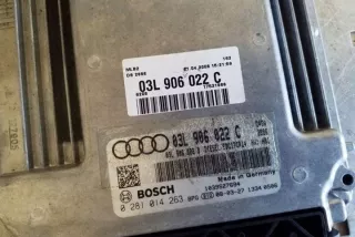 03L906022C Блок управления двигателем Audi A4 B8 Арт e12316122, вид 1