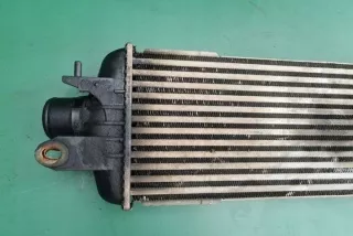 8200219497 Интеркулер Renault Trafic 2 Арт e12304462, вид 3