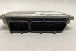 0281010171 Блок управления двигателем Volkswagen Passat B5 Арт e12293935, вид 2
