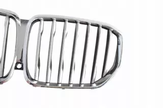 21454110 Решетка радиатора BMW X5 G05  Арт e12290026, вид 2