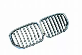 20240006541 Решетка радиатора BMW X5 G05  Арт e12290025, вид 1