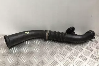KM01_ 8200218987 Гофра инжектора Renault Megane 2 Арт e12289094, вид 1