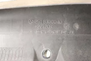 W251, A2518300053 Корпус воздушного фильтра Mercedes R W251 Арт e12286760, вид 1