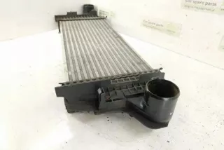 W251, 2515000000 Интеркулер Mercedes R W251 Арт e12270989, вид 2