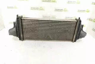 W251, 2515000000 Интеркулер Mercedes R W251 Арт e12270989, вид 4