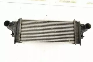 W251, 2515000000 Интеркулер Mercedes R W251 Арт e12270989, вид 8