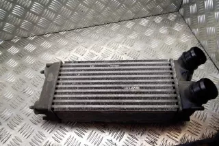 9656503980 Интеркулер Citroen C4 1 Арт e12270754, вид 2
