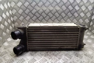 9656503980 Интеркулер Citroen C4 1 Арт e12270753, вид 2