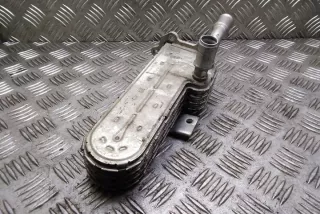 038131513AD Радиатор EGR Volkswagen Golf 5 Арт e12268677, вид 1