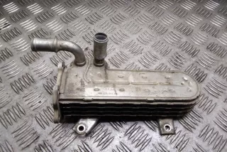 038131513AD Радиатор EGR Volkswagen Golf 5 Арт e12268677, вид 3
